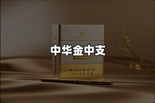 中华金中支